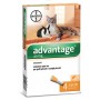 BAYER ADVANTAGE SPOT ON 40 GATTI FINO A KG.4