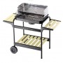 BARBECUE 60-40 GREEN LINE COD.80601