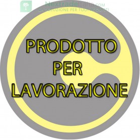 100PZ -GANCIO ADESIVO COLORATO A 1 POSTO**