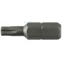 10PZ INSERTO TORX MM. 25 GR.T25 M.5,0