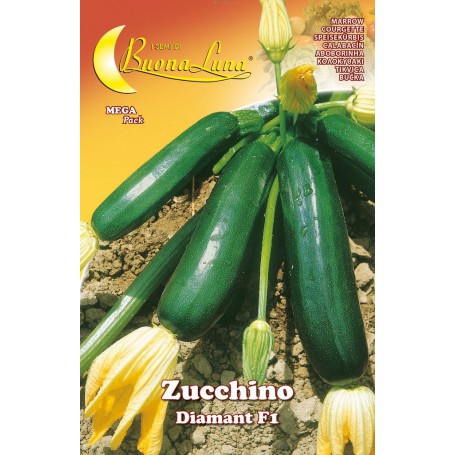 10PZ SEMI ORTO ZUCCHINO DIAMANT