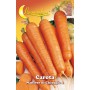 10PZ SEMI ORTO CAROTA DI CHIOGGIA