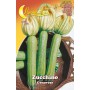 10PZ SEMI ORTO ZUCCHINO GENOVESE