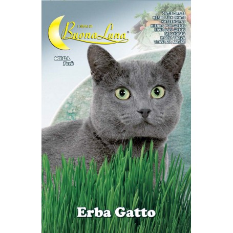 10PZ SEMI ORTO ERBA GATTO