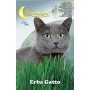 10PZ SEMI ORTO ERBA GATTO