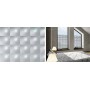 6PZ RT PLASTICA ADESIVA 280.2398 MT.2,5