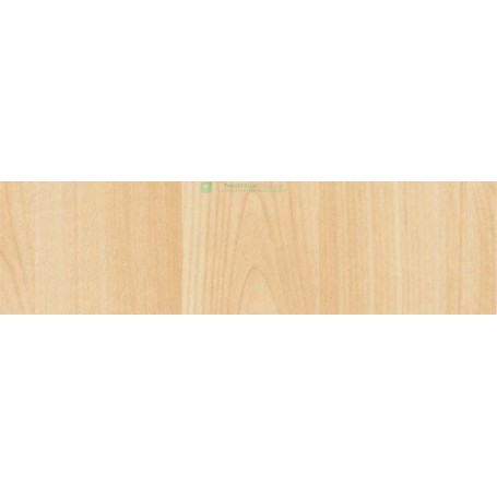 PLASTICA ADESIVA ALKOR 280.2660 MT15