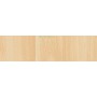 PLASTICA ADESIVA ALKOR 280.2660 MT15