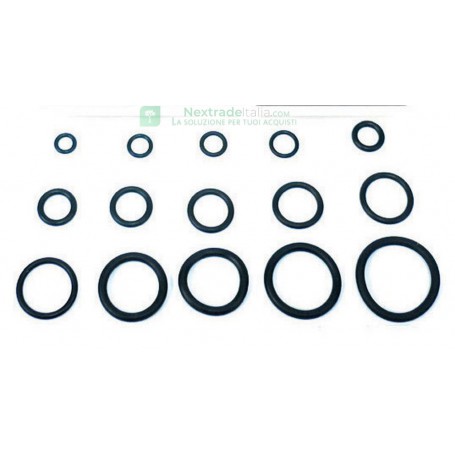 O-RING 12,10X2,70 X CANNA LAVELLO PZ 100