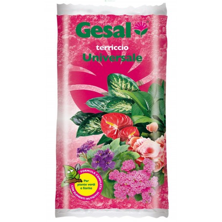 GESAL TERRICCIO UNIVERSALE LT.10