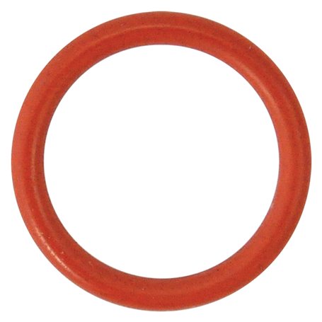 GUARNIZIONE O-RING PER PERNO per N 5 - mm 29,82 x 2,62