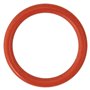 GUARNIZIONE O-RING PER PERNO per N 5 - mm 29,82 x 2,62