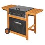 BARBECUE A GAS 'ADELAIDE 3 WOODY DG' kw 14