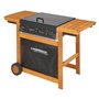 BARBECUE A GAS 'ADELAIDE 3 WOODY DG' kw 14