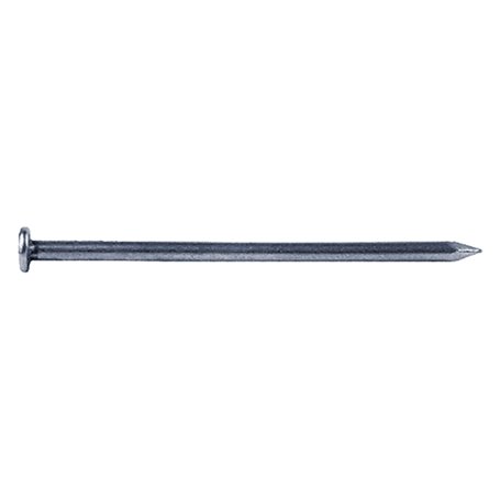 5KG CHIODI TESTA PIANA ZINCATI TP 15 x 50