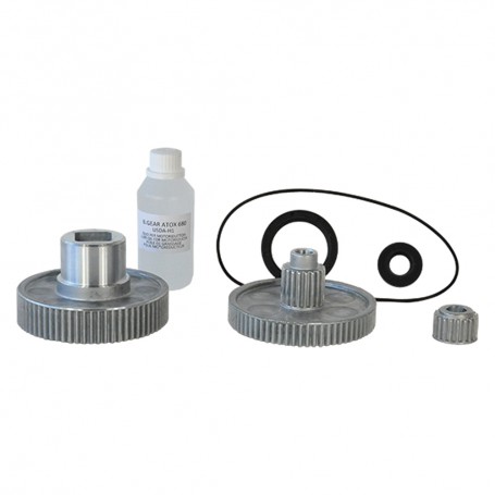 1PZ KIT RICAMBI PER MOTORIDUTTORE 'REBER' art. 1004