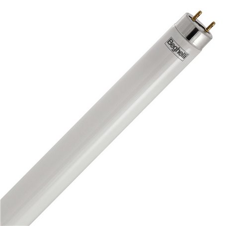 25PZ BEGHELLI LED 56231 TUBO T8 W9 CM.60 FREDDA 6500