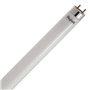 25PZ BEGHELLI LED 56231 TUBO T8 W9 CM.60 FREDDA 6500