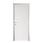 PORTA MOD.MICROTEC FRASSINO/BIANCO CM.210X70