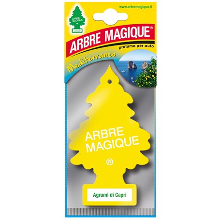 24PZ ARBRE MAGIQUE MEDITERRANEO CAPRI