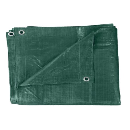 TELONE PE PESANTE CON OCCHIOLI VERDE MT 2X3 MQ.110