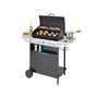 BARBECUE A GAS XPERT 200 LS + ROCKY CM.107x50x98H