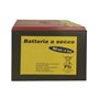 BATTERIE A SECCO 130AH 9V PER ELETTRORECINZIONI