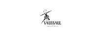 Valeball