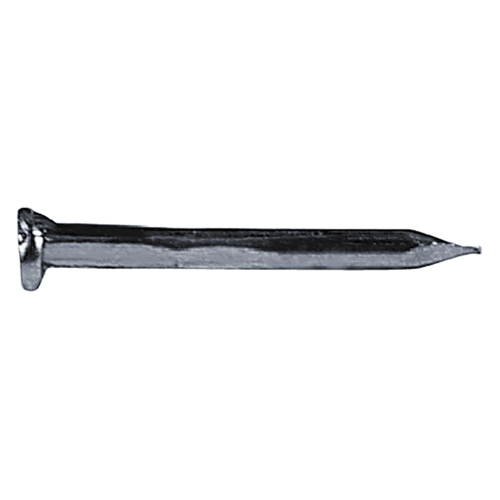 1PZ Chiodi Testa Piana Larga TPL mm 1,5x12 - gr. 50 — Chiodi e graffe — rif. FERX.10356NLM 1PZ Chiodi Testa Piana Larga TPL mm 1,5x12 - gr. 50 — Chiodi e graffe — rif. FERX.10356NLM