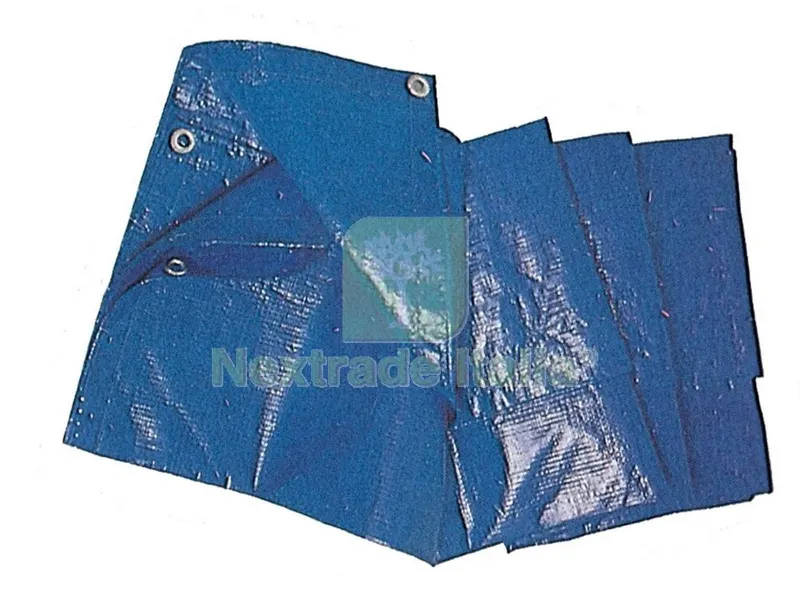 TELONE PE STANDARD CON OCCHIOLI BLU MT.3X4 MQ 85 — Teli e teloni — rif. FERX.17687 TELONE PE STANDARD CON OCCHIOLI BLU MT.3X4 MQ 85 — Teli e teloni — rif. FERX.17687