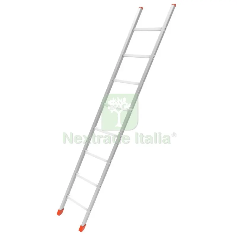 SCALA ALLUMINIO SEMPLICE 8 GRADINI 2,5 M — Casalinghi e organizzazione — rif. FERX.21318 SCALA ALLUMINIO SEMPLICE 8 GRADINI 2,5 M — Casalinghi e organizzazione — rif. FERX.21318
