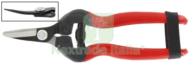 FORBICI PER UVA LAME CURVE PROFESSIONALI RIF.21095 — Misurazione e taglio manuale — rif. FERX.25167 FORBICI PER UVA LAME CURVE PROFESSIONALI RIF.21095 — Misurazione e taglio manuale — rif. FERX.25167