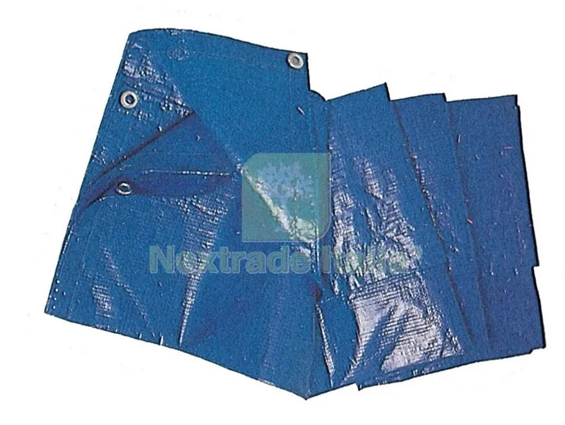 TELONE PE STANDARD CON OCCHIOLI BLU MT.2X3 MQ 85 — Teli e teloni — rif. FERX.37770 TELONE PE STANDARD CON OCCHIOLI BLU MT.2X3 MQ 85 — Teli e teloni — rif. FERX.37770
