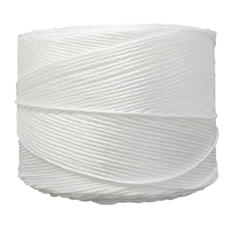 6RT Spago in Polipropilene T300 Bobina da 2KG — Pile e batterie — rif. FERX.501179 6RT Spago in Polipropilene T300 Bobina da 2KG — Pile e batterie — rif. FERX.501179