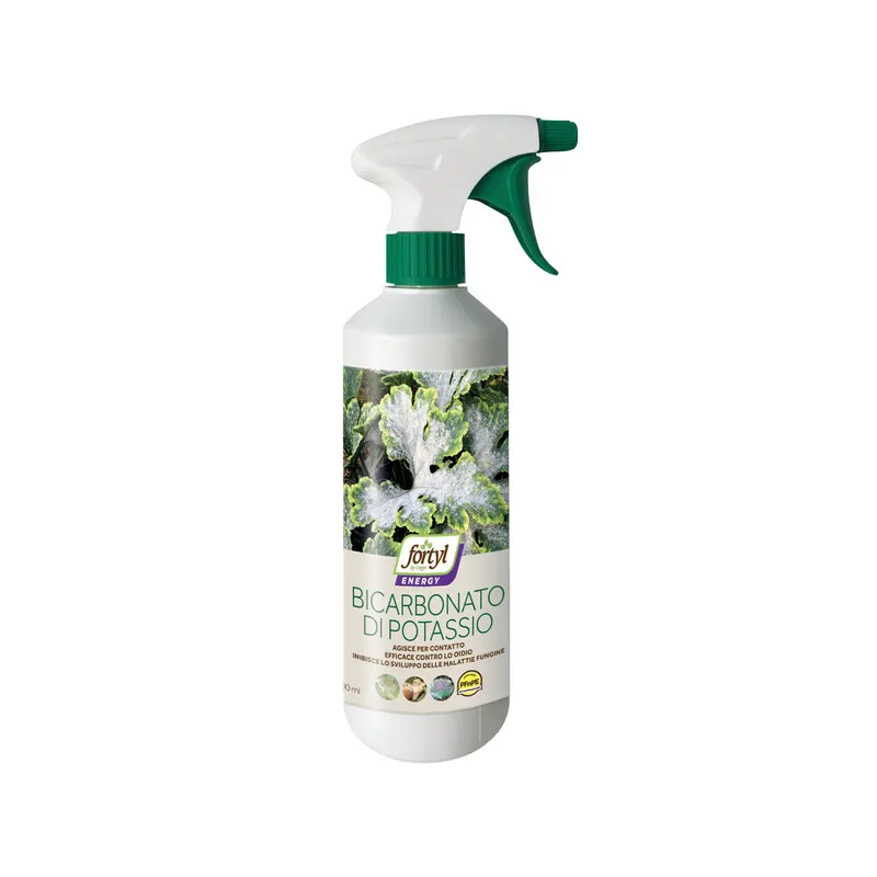 12PZ Funghicida Copyr Bicarbonato di Potassio 500 ML — Tempo libero outdoor — rif. FERX.501298 12PZ Funghicida Copyr Bicarbonato di Potassio 500 ML — Tempo libero outdoor — rif. FERX.501298