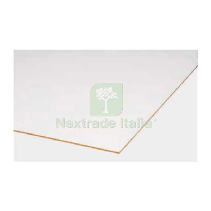 PANNELLO MDF BIANCO MM.1000X600X3 — Pannelli e tavole in legno — rif. FERX.501396 PANNELLO MDF BIANCO MM.1000X600X3 — Pannelli e tavole in legno — rif. FERX.501396