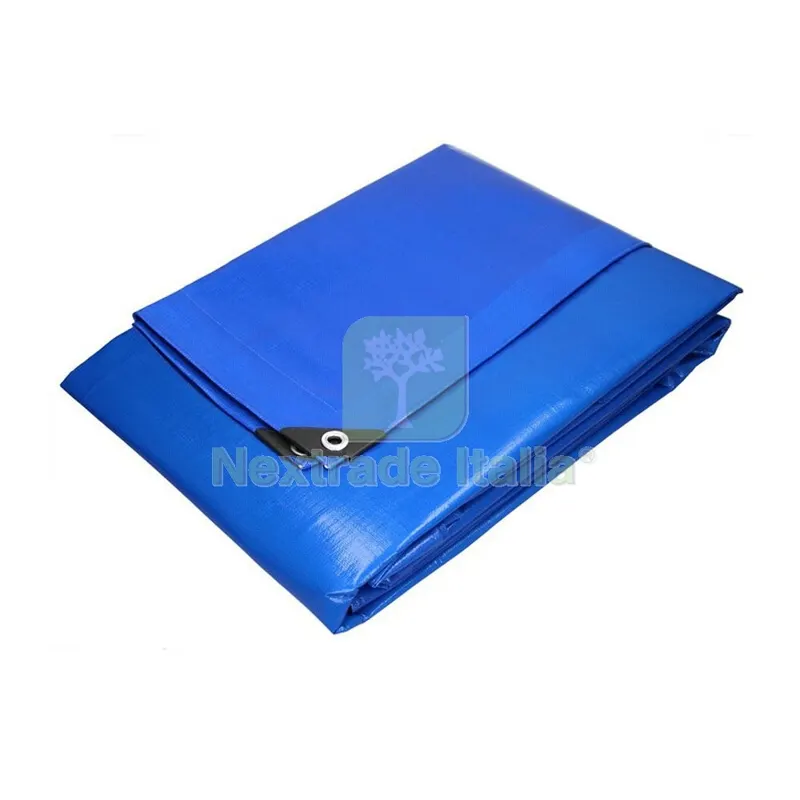 C TELO OCCHIELLATO PE 5 X 8M 85GR BLU — Teli, sacchi e reti agricole — rif. FERX.506233 C TELO OCCHIELLATO PE 5 X 8M 85GR BLU — Teli, sacchi e reti agricole — rif. FERX.506233