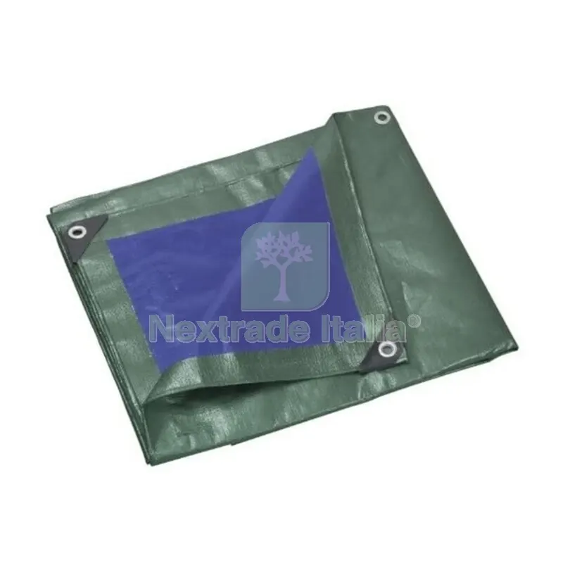 C TELO OCCHIELLATO PE 4 X 6M 110GR VERDE/BLU — Teli, sacchi e reti agricole — rif. FERX.506251 C TELO OCCHIELLATO PE 4 X 6M 110GR VERDE/BLU — Teli, sacchi e reti agricole — rif. FERX.506251