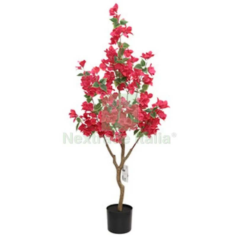 2PZ C BOUGANVILLEA 120 CM — Casalinghi e organizzazione — rif. FERX.507398 2PZ C BOUGANVILLEA 120 CM — Casalinghi e organizzazione — rif. FERX.507398