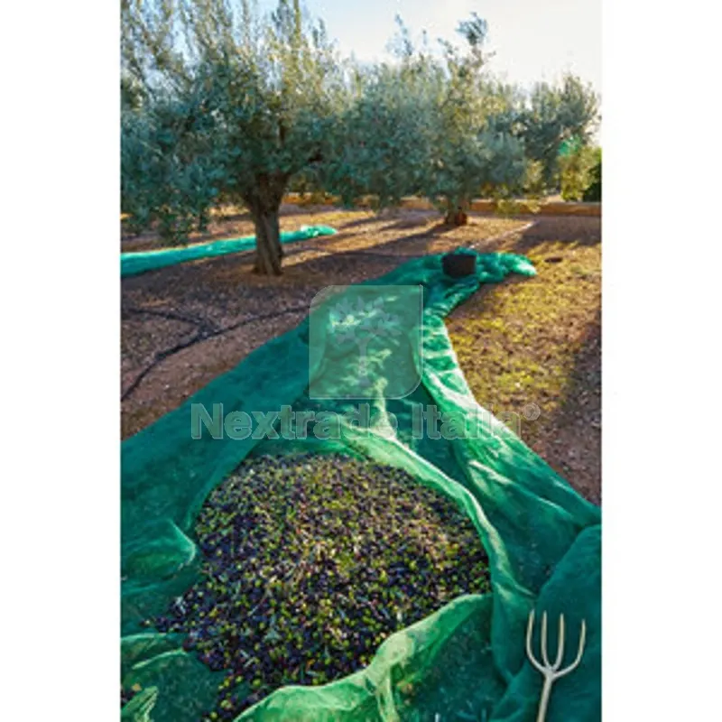 C RETE P/OLIVE ANTISPINA 80G 5X10M — Interruttori e prese — rif. FERX.508817