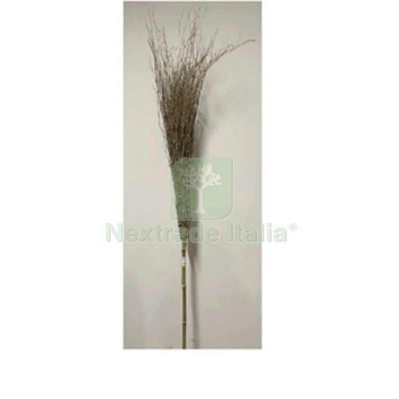 20PZ C SCOPA IN BAMBOO 210 CM 18 RAMI IMPORT — Casalinghi e organizzazione — rif. FERX.509466 20PZ C SCOPA IN BAMBOO 210 CM 18 RAMI IMPORT — Casalinghi e organizzazione — rif. FERX.509466