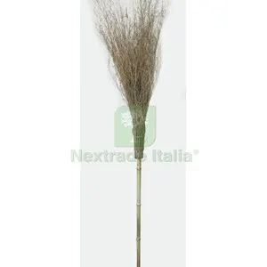 20PZ C SCOPA IN BAMBOO 210 CM 15 RAMI IMPORT — Casalinghi e organizzazione — rif. FERX.510181