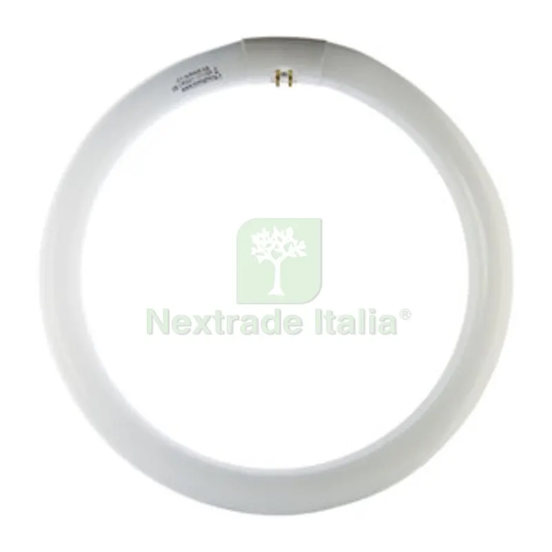 12PZ CIRCOLINA 32W G10Q 2000LM 6500K — Illuminazione — rif. FERX.510531