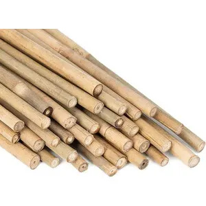 25PZ C CANNA BAMBOO NATURALE 150 CM-D.22/24 MM — Hobby ed enologia — rif. FERX.513042 25PZ C CANNA BAMBOO NATURALE 150 CM-D.22/24 MM — Hobby ed enologia — rif. FERX.513042