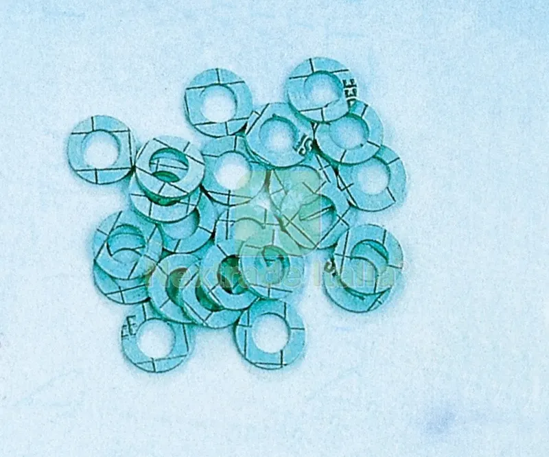 5SCATOLE SC GUARNIZIONI ESENTI AMIANTO GR.1/2 (PZ.10) — Guarnizioni e tenute — rif. FERX.64048 5SCATOLE SC GUARNIZIONI ESENTI AMIANTO GR.1/2 (PZ.10) — Guarnizioni e tenute — rif. FERX.64048