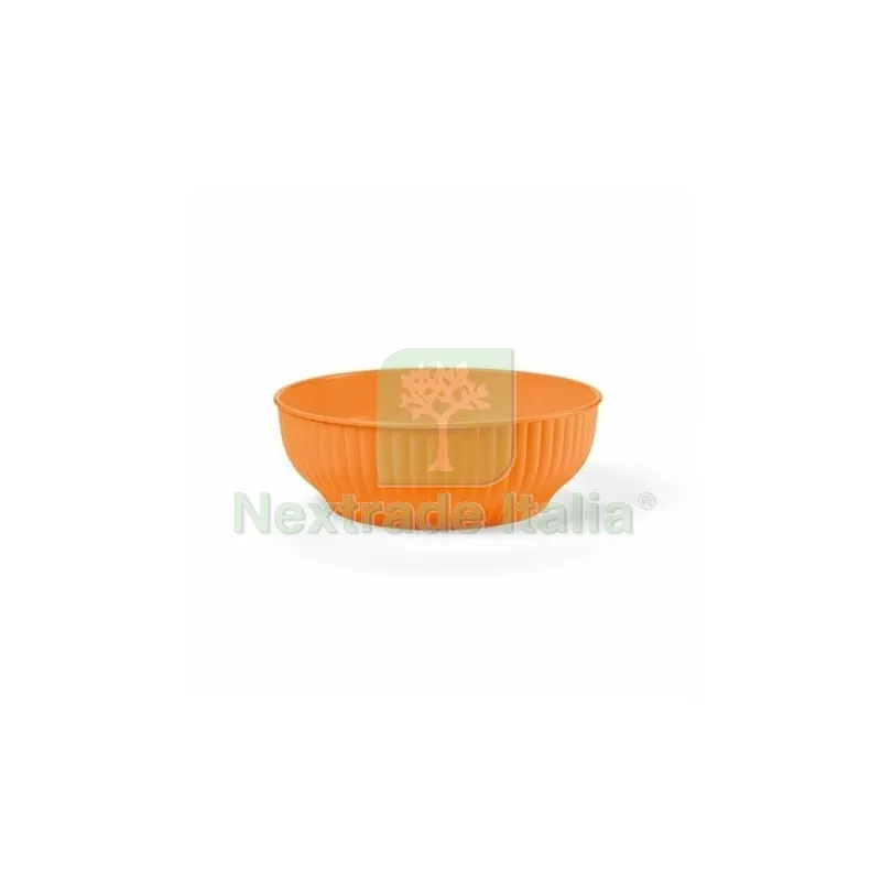 INSALATIERA COSTOLATA CM.24 ASS.TA — Casalinghi e organizzazione — rif. FERX.672541 INSALATIERA COSTOLATA CM.24 ASS.TA — Casalinghi e organizzazione — rif. FERX.672541