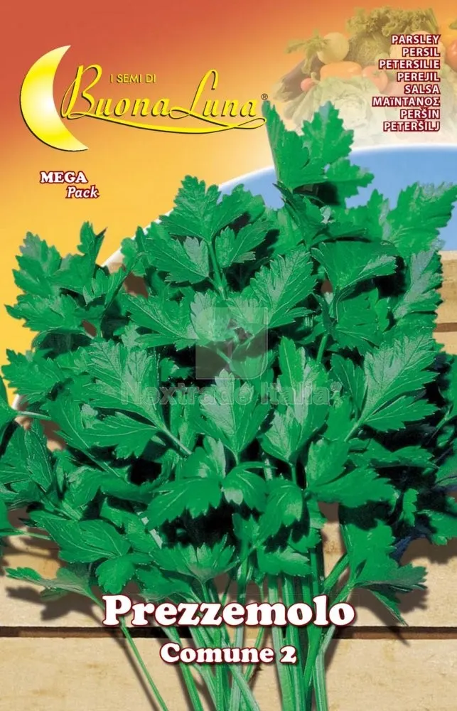 10PZ SEMI ORTO PREZZEMOLO COMUNE 2 — Protezione piante e sementi — rif. FERX.74560 10PZ SEMI ORTO PREZZEMOLO COMUNE 2 — Protezione piante e sementi — rif. FERX.74560