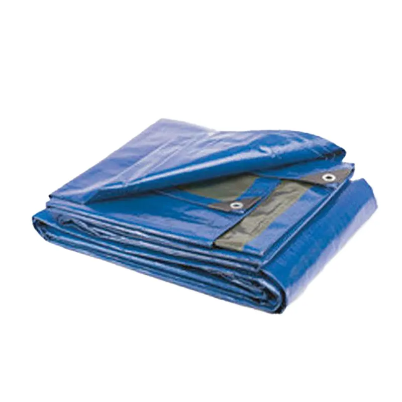 Telone Occhiellato mt 3 x 4 - 100 gr/mq. — Teli, sacchi e reti agricole — rif. FERX.6068082NLM Telone Occhiellato mt 3 x 4 - 100 gr/mq. — Teli, sacchi e reti agricole — rif. FERX.6068082NLM