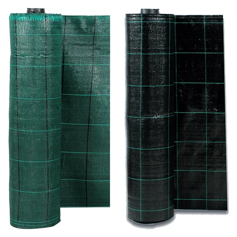 Telo per Pacciamatura 'cover PRO' H. cm 330 x 100 mt - verde — Protezione piante e sementi — rif. FERX.6065416NLM Telo per Pacciamatura 'cover PRO' H. cm 330 x 100 mt - verde — Protezione piante e sementi — rif. FERX.6065416NLM