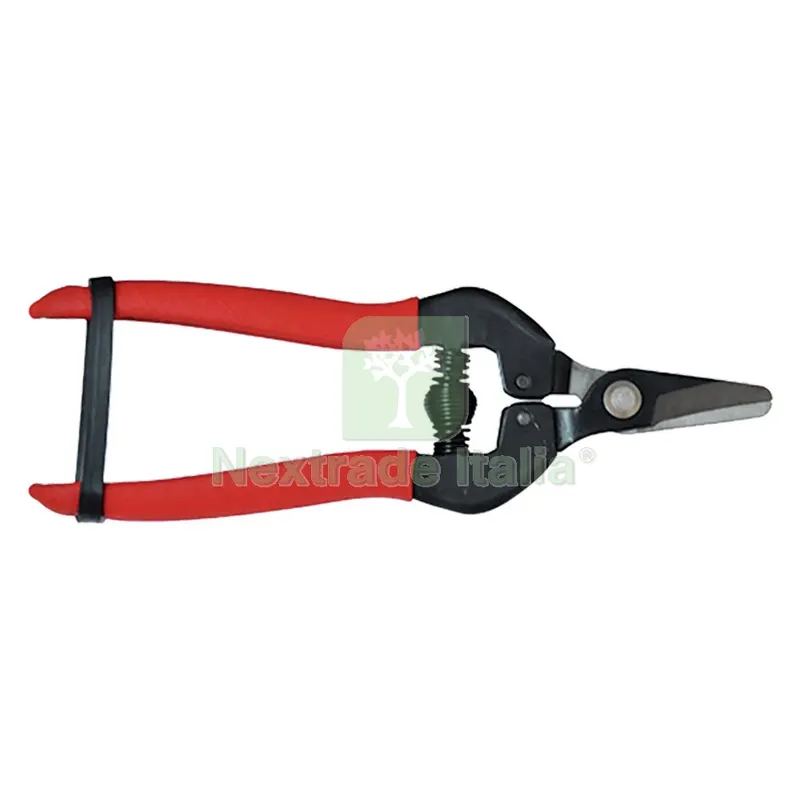 FORBICI COGLIUVA cm 16 - pz. 1 — Misurazione e taglio manuale — rif. FERX.060250NLM